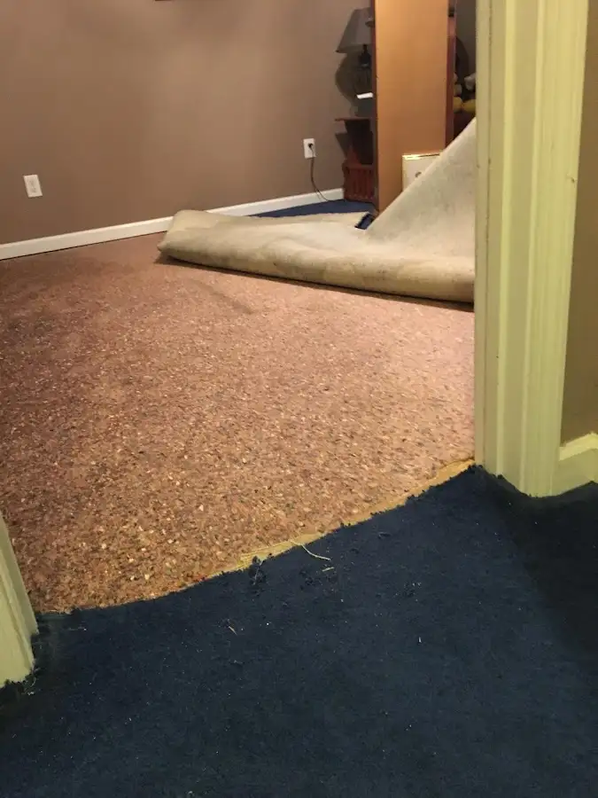 Carpet pad removal revealing water damage during Water Mitigation Services in Busti
