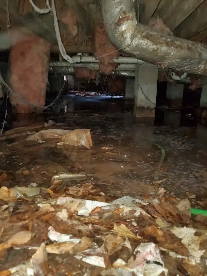 Crawl space flood assessment for Leak Detection & Repair in Busti