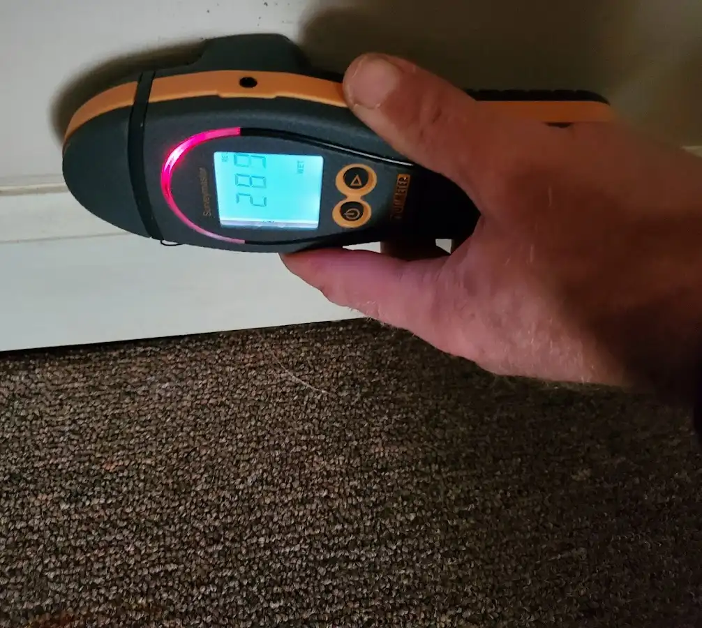 Moisture detection at baseboard during Sewage Cleanup & Sanitation in Busti